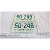 Image 1 : 1974 - pair of Sask License Plates