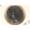 Image 2 : 268-270 A.D. CLAUDIUS II ANCIENT COIN (FINE)