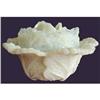 Image 1 : Portieux Opalescent Glass Covered Cabbage Bowl #2140256