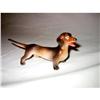 Image 1 : Dachser Dog in china brown color #2175488