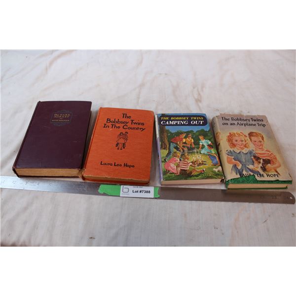 The Bobbsey Twins books and “The Dark Forest” by Hugh Walpole
