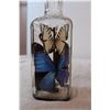 Image 2 : butterflies in bottle