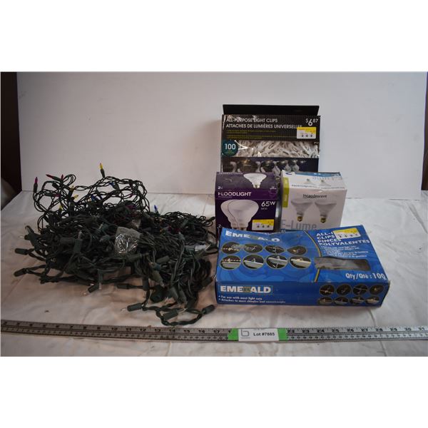 Lightbulbs and Christmas Lights