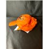 Image 2 : AUTOGRAPHED BC LIONS HAT