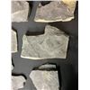 Image 10 : ASSORTED FOSSILS AND DISPLAY HOLDERS