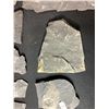 Image 13 : ASSORTED FOSSILS AND DISPLAY HOLDERS