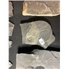 Image 14 : ASSORTED FOSSILS AND DISPLAY HOLDERS