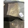 Image 15 : ASSORTED FOSSILS AND DISPLAY HOLDERS