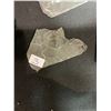 Image 17 : ASSORTED FOSSILS AND DISPLAY HOLDERS