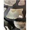 Image 27 : ASSORTED FOSSILS AND DISPLAY HOLDERS