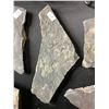 Image 31 : ASSORTED FOSSILS AND DISPLAY HOLDERS