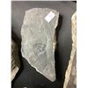 Image 32 : ASSORTED FOSSILS AND DISPLAY HOLDERS