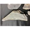 Image 34 : ASSORTED FOSSILS AND DISPLAY HOLDERS