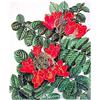 Image 1 : Marian  Sheehan Lithograph, African Tulip Tree #2128166