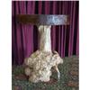 Image 1 : RARE PRIMITIVE TEAK ROOT RUSTIC ANTIQUE TABLE #2128865