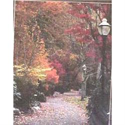 Lithia Park photograph by Patrick Moore #2139532