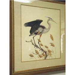 "Great Blue Heron" by Guy Coheleach Plate 1 #2153121
