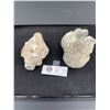 Image 1 : Lot of 2 Beautiful Fossils