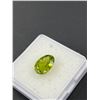 Image 2 : Peridot 3.56ct 11.16 x 7.84 x 5.28mm Oval Cut VVS Brazil Untreated