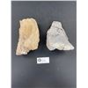 Image 1 : Set of 2 Dinosaur Bones From Dino City Dinosaur Colorado