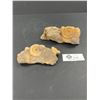 Image 1 : Nice Lot of 2 Beautiful Fossils