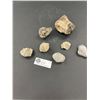 Image 1 : Nice Lot of Fossils