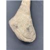 Image 3 : Prehistoric Stone Tool 11.75" Long Nice Museum Piece