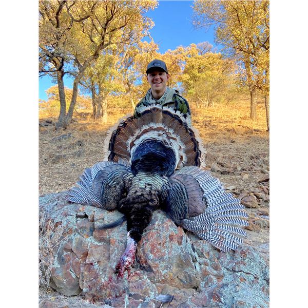 Mexico Gould's Turkey Hunt for Two with Mesquite Mountain Outfitters