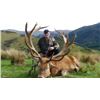 Image 10 : New Zealand Red Stag for Two with High Peak Hunting New Zealand