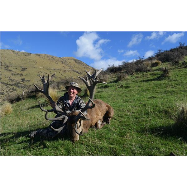 New Zealand Red Stag for Two with High Peak Hunting New Zealand