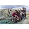 Image 3 : New Zealand Red Stag for Two with High Peak Hunting New Zealand