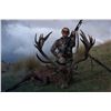 Image 6 : New Zealand Red Stag for Two with High Peak Hunting New Zealand