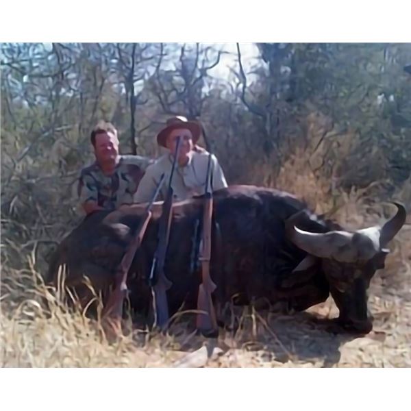 South Africa 7-day Cape Buffalo Hunting Safari