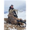 Image 4 : Combination Marco Polo/Ibex hunt in Tajikistan with LLC Murgab Company