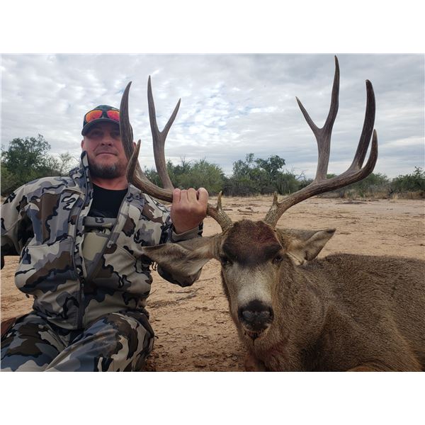 MONSTER Mexico Mule Deer and Coues Deer hunt with HR Big Game Outfitters 