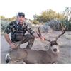 Image 3 : MONSTER Mexico Mule Deer and Coues Deer hunt with HR Big Game Outfitters 