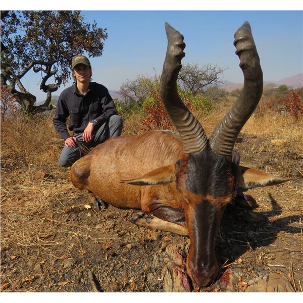 South Africa Safari with Graham Sales Safari