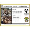 Image 2 : Idaho Bighorn Lottery Ticket #1
