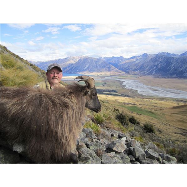 New Zealand Bull Tahr Hunt with Southern Mountain Adventures