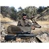Image 4 : Arizona 5-day muzzleloader hunt for Coues deer and mountain lion for 2 hunters.