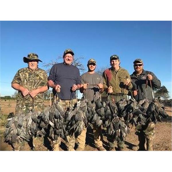 Argentina Dove + Pigeon Hunting/Golden 'Dorado' Fishing with Wingshooting Unlimited