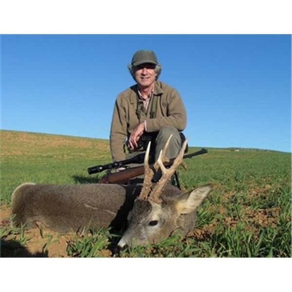 Shikar Safaris Roe Deer Hunt for Two Couples in Spain