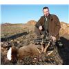 Image 2 : Shikar Safaris Roe Deer Hunt for Two Couples in Spain