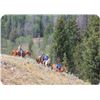 Image 4 : Wilderness horse pack/fishing trip for 2 in the Wyoming Wind River Mountain Range