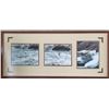 Image 1 : Framed Dall Ram Photos donated by Charlie Justus