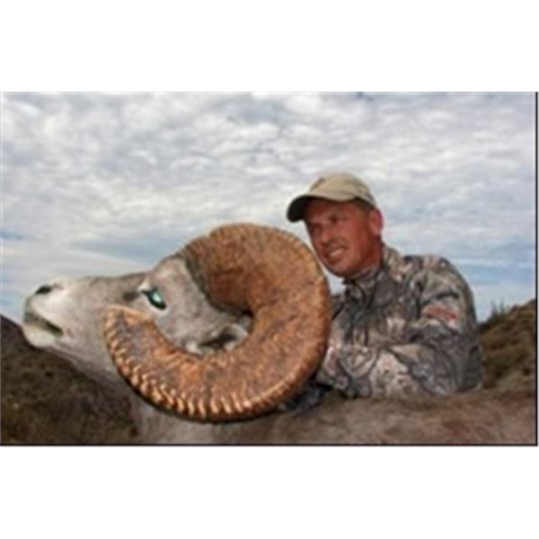 Grand Slam – Four North American Wild Sheep for One Hunter