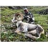 Image 2 : Grand Slam – Four North American Wild Sheep for One Hunter