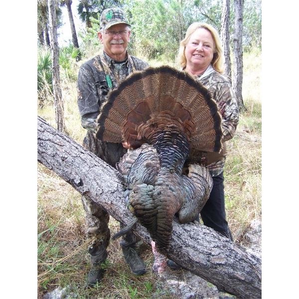 *Florida – 3 Day Osceola Turkey Hunt for One Hunter