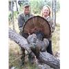 Image 1 : *Florida – 3 Day Osceola Turkey Hunt for One Hunter