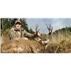 Image 1 : *Oregon- 5 Day- Columbia Blacktail Deer for One Hunter